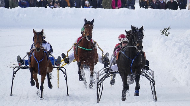 在这一悲剧 在这一悲剧